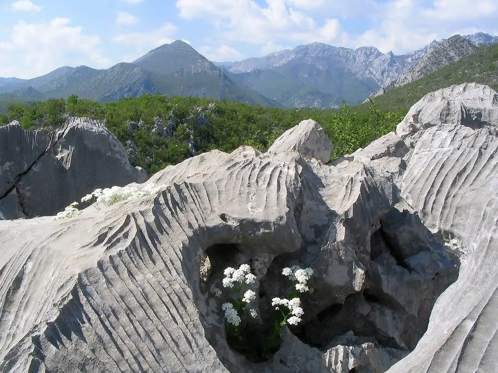 Apartments And Rooms Degenija Starigrad-Paklenica