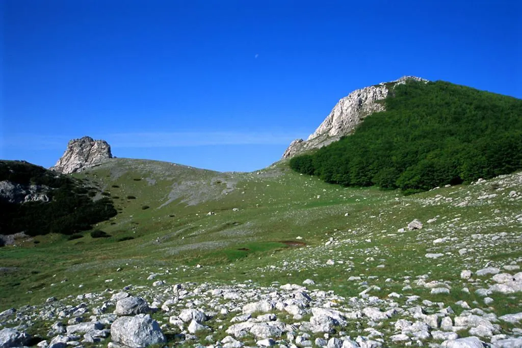 Apartments And Rooms Degenija Starigrad-Paklenica 3*,